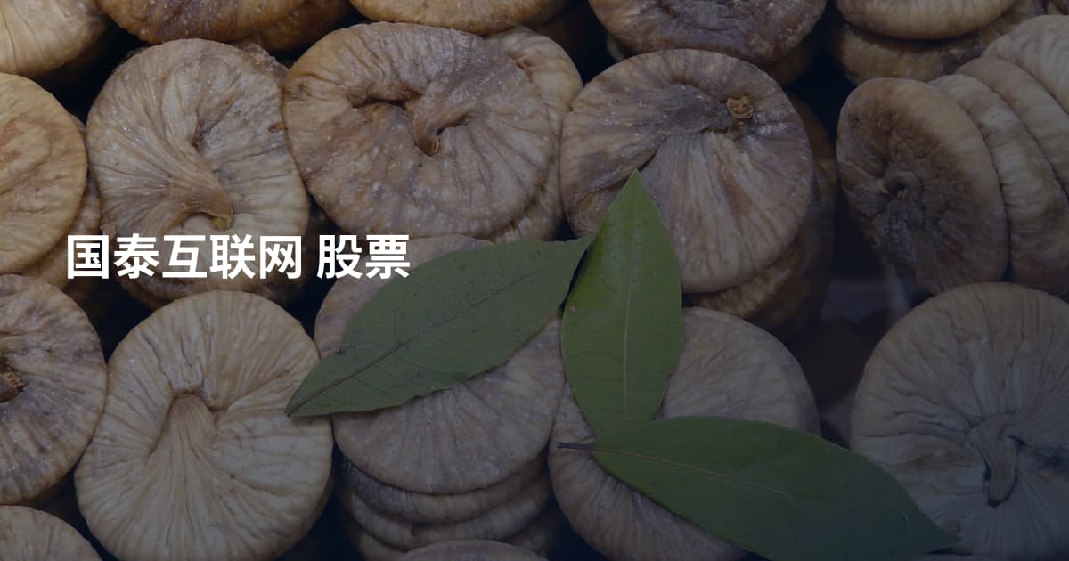 国泰互联网 股票