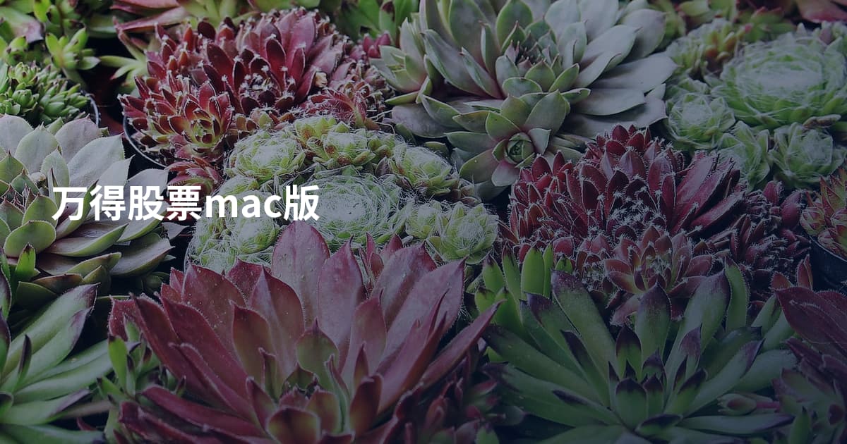 万得股票mac版