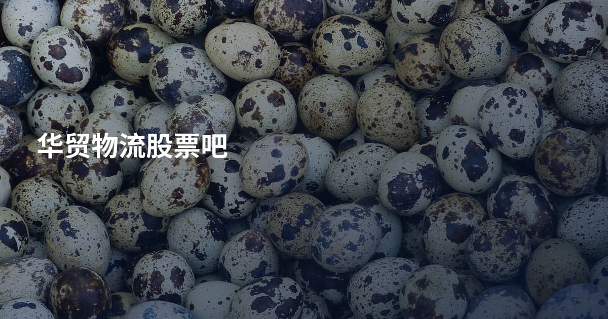 华贸物流股票吧