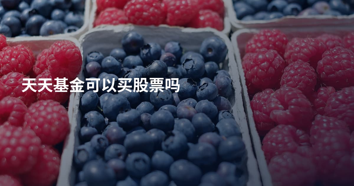 天天基金可以买股票吗