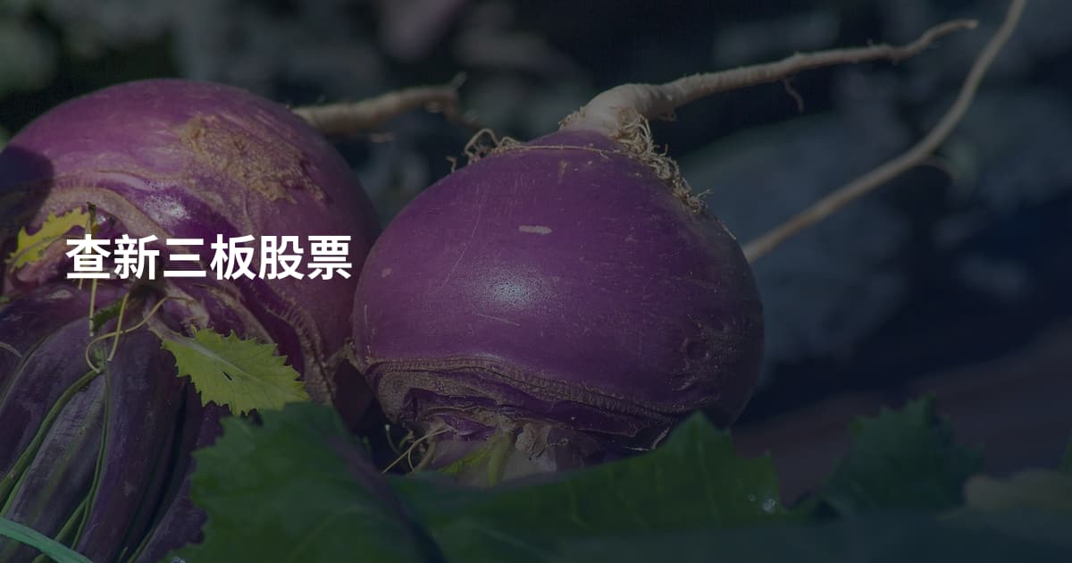 查新三板股票