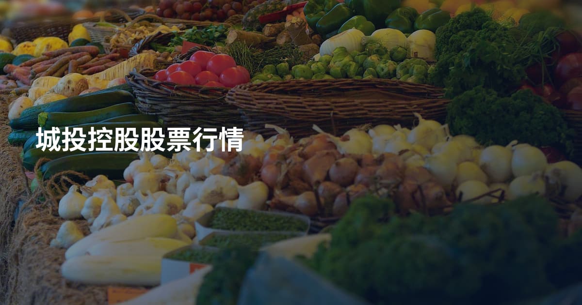 城投控股股票行情