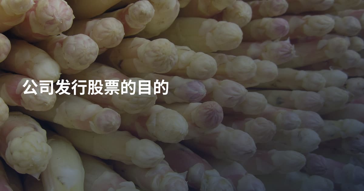 公司发行股票的目的