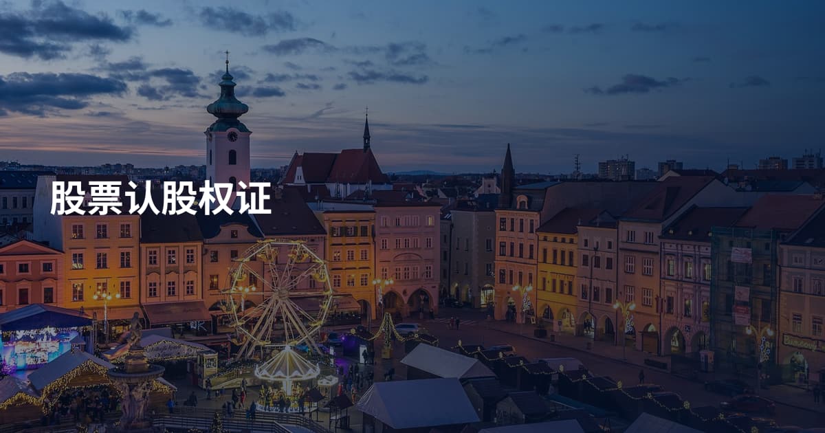 股票认股权证
