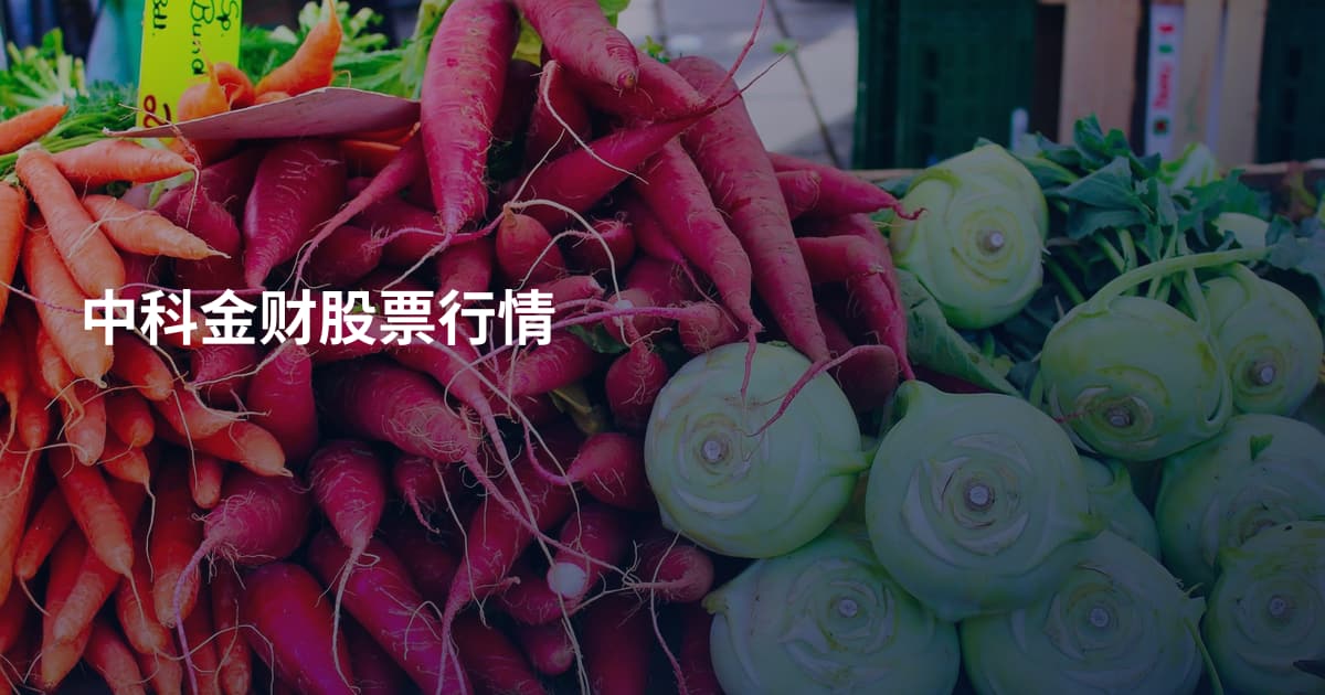 中科金财股票行情