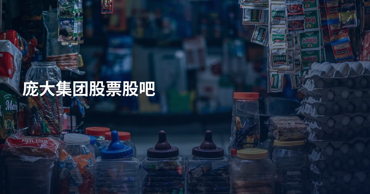 庞大集团股票股吧