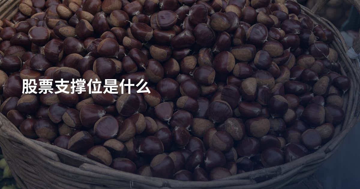 股票支撑位是什么
