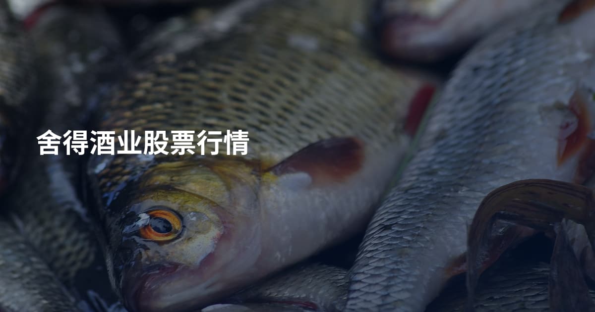舍得酒业股票行情