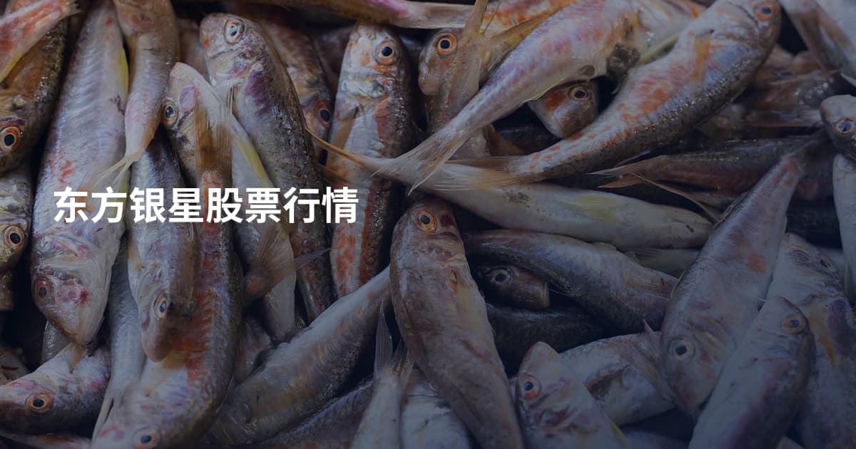 东方银星股票行情