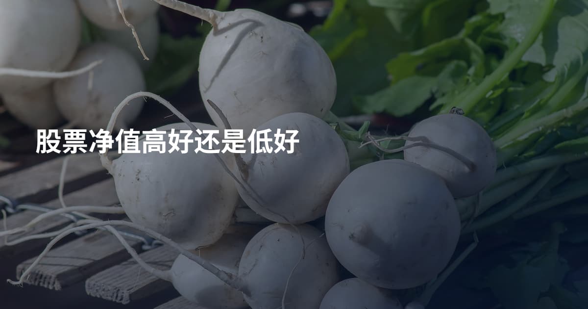 股票净值高好还是低好