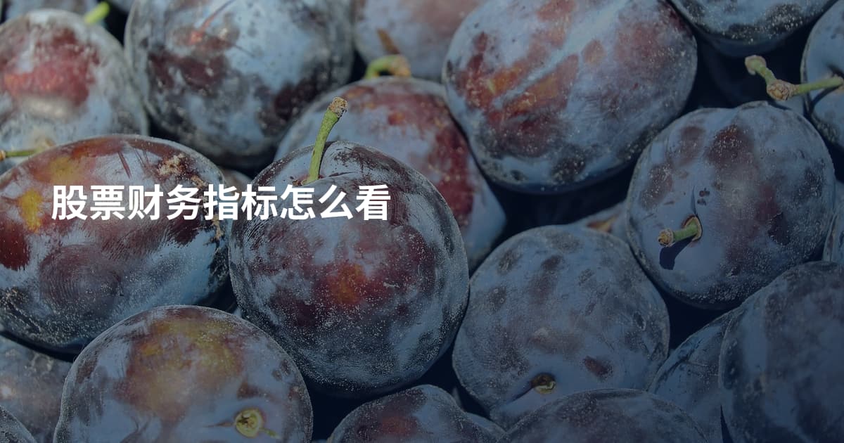 股票财务指标怎么看