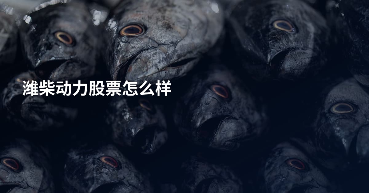 潍柴动力股票怎么样
