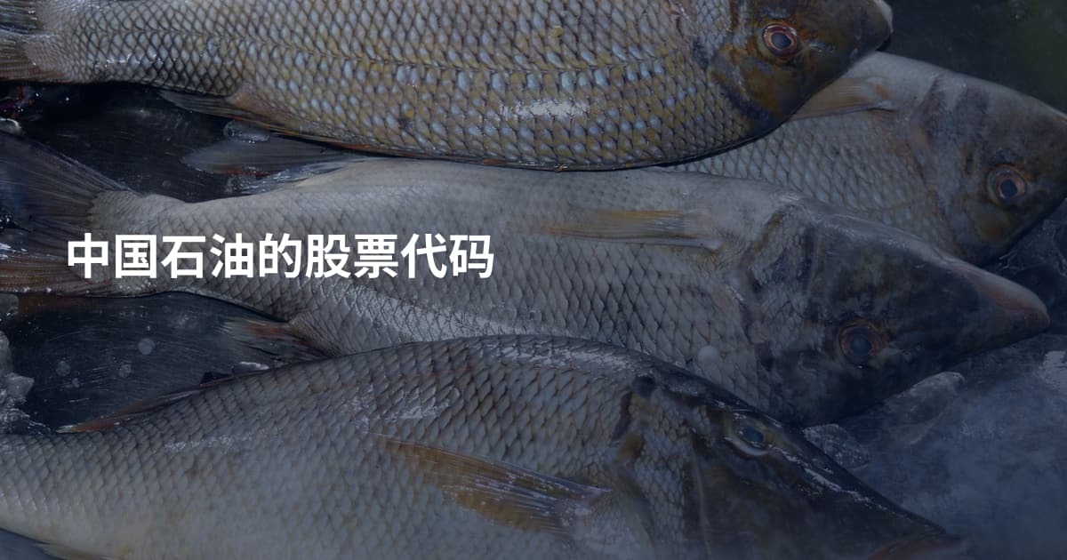 中国石油的股票代码