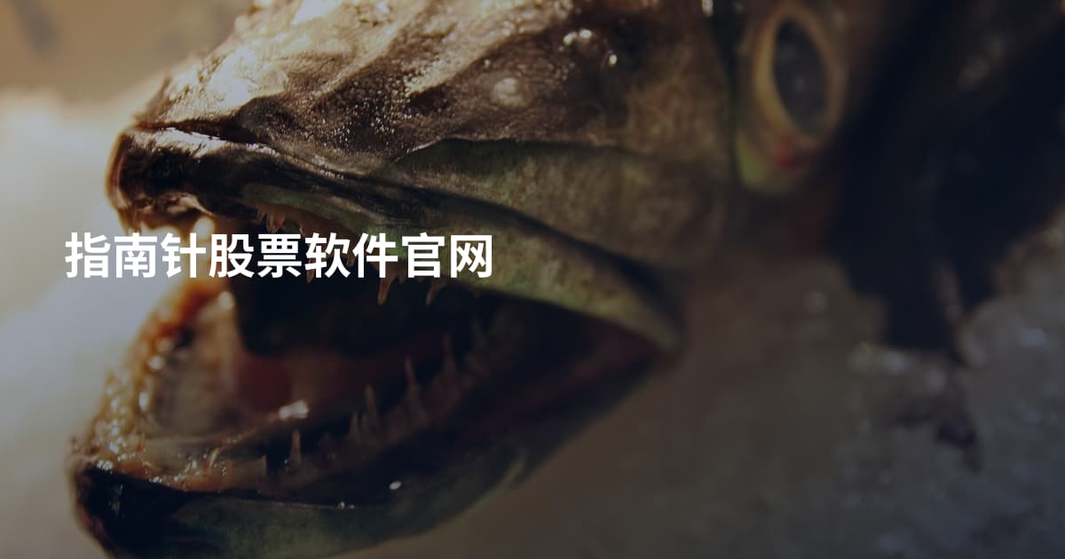 指南针股票软件官网