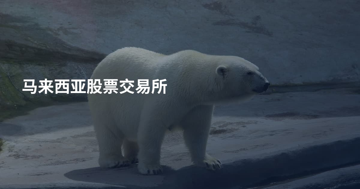 马来西亚股票交易所