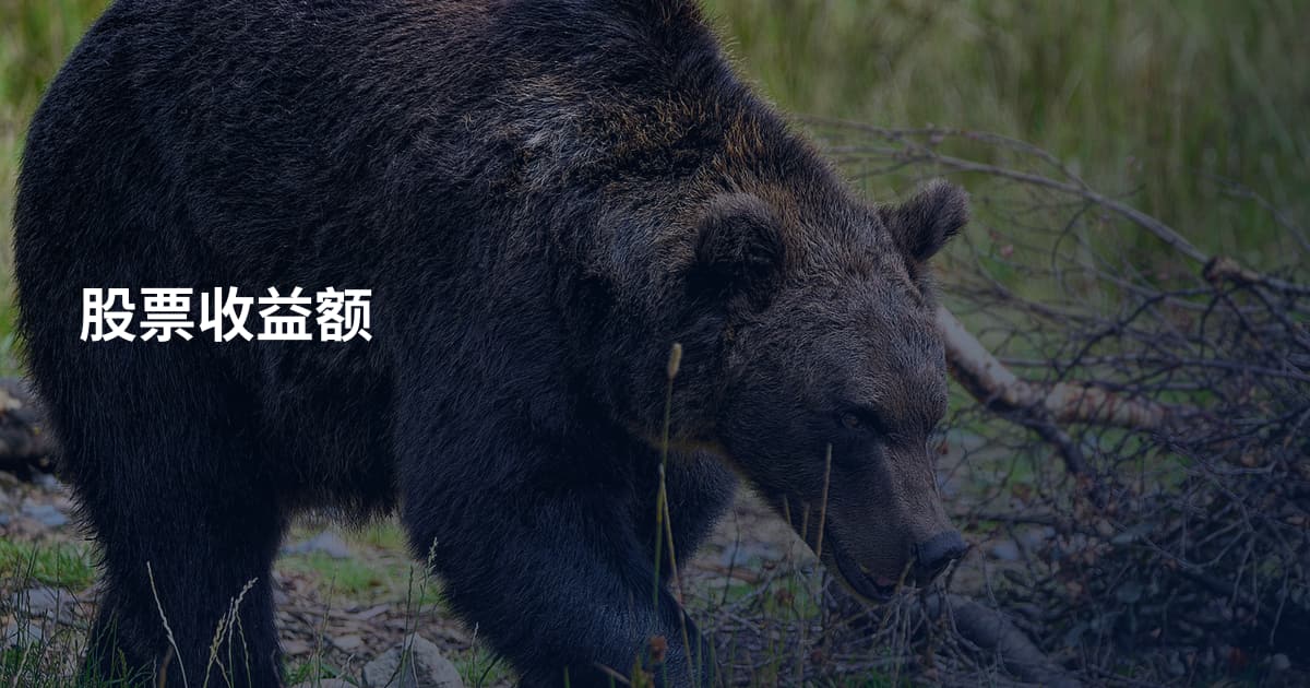 股票收益额