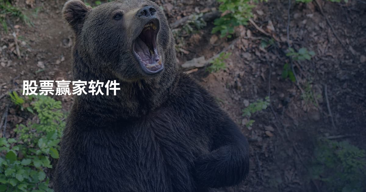 股票赢家软件
