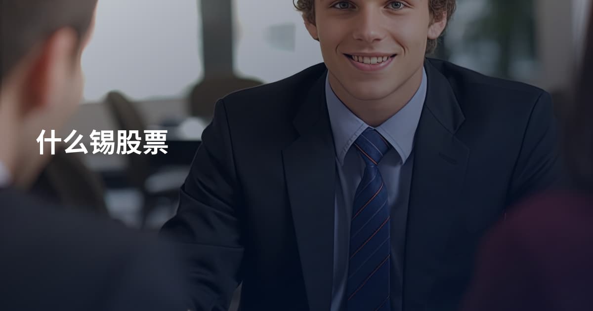 什么锡股票
