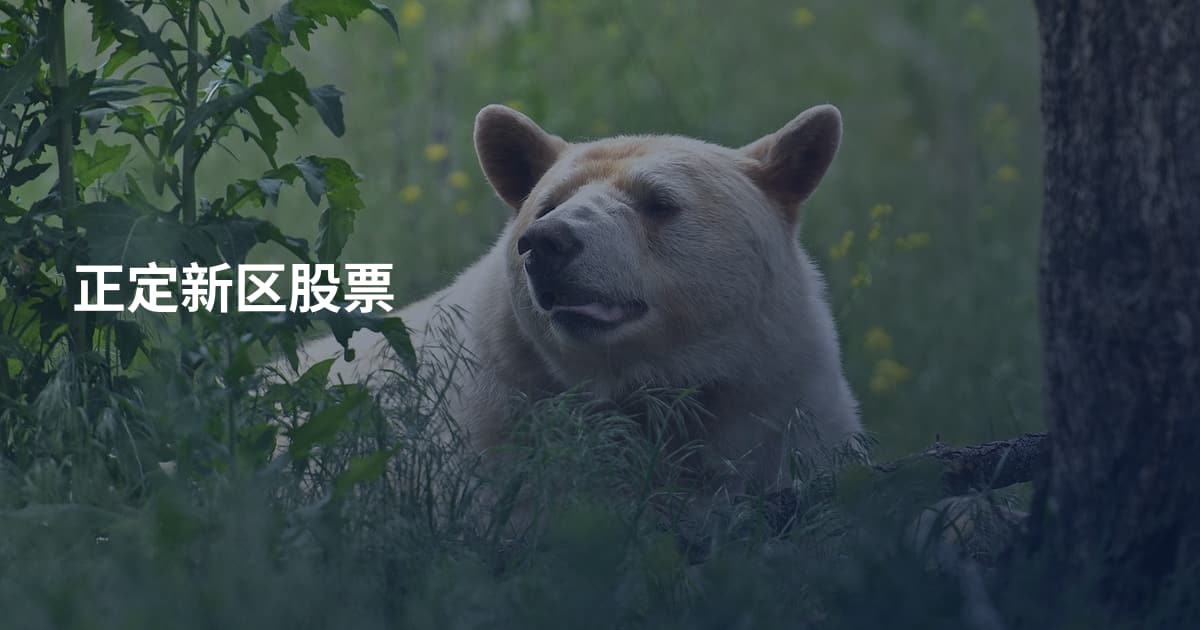 正定新区股票