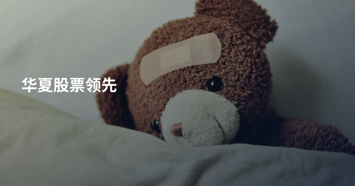 华夏股票领先