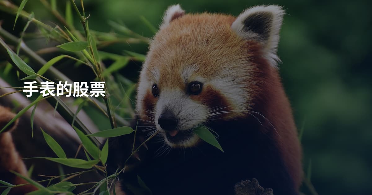 手表的股票