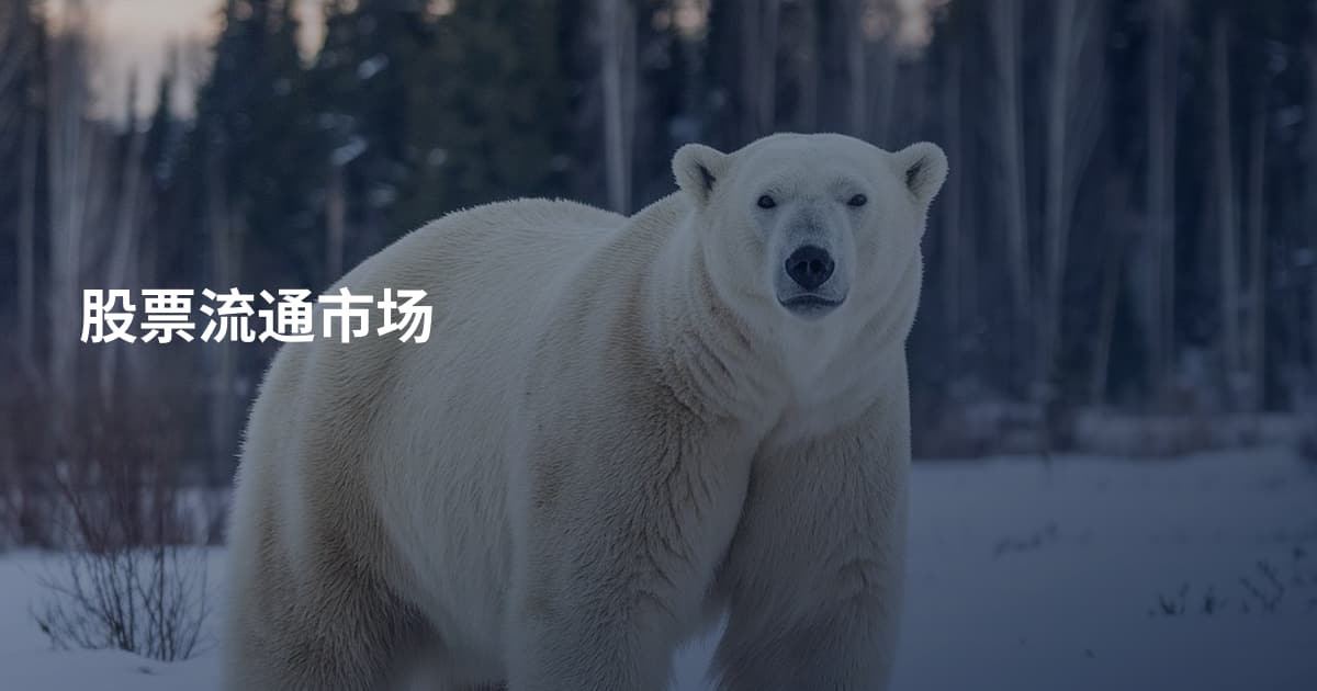股票流通市场