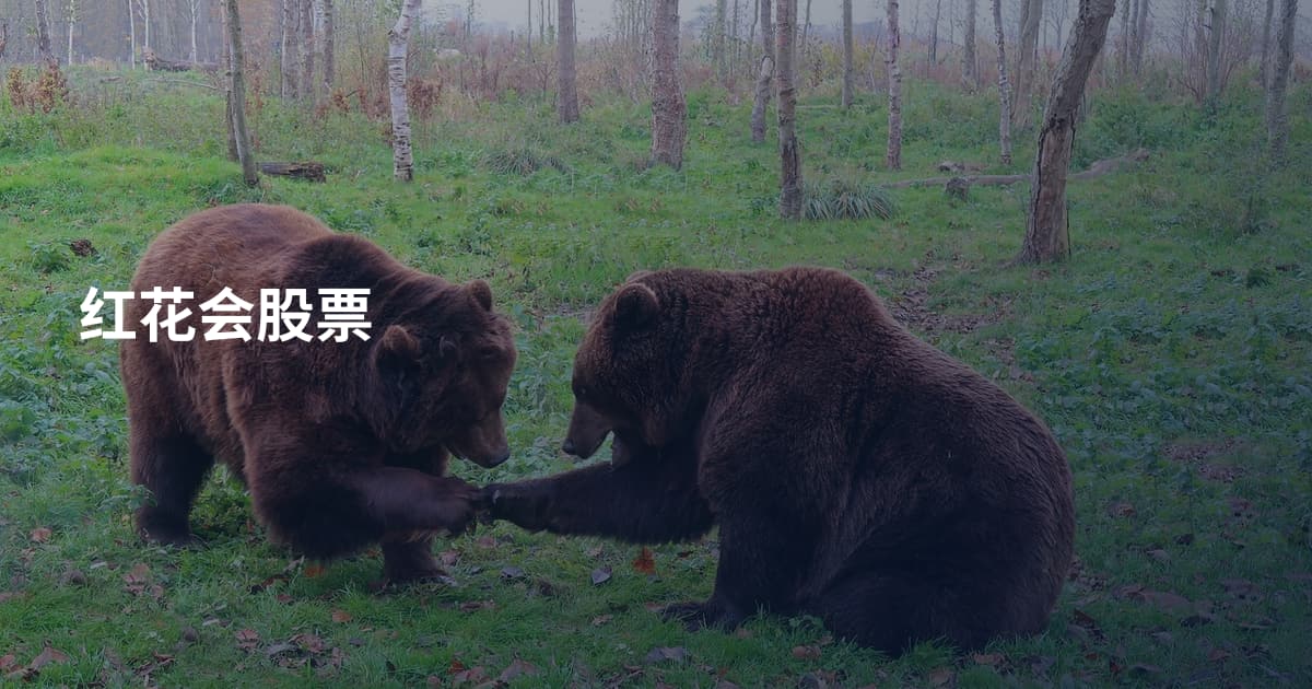 红花会股票