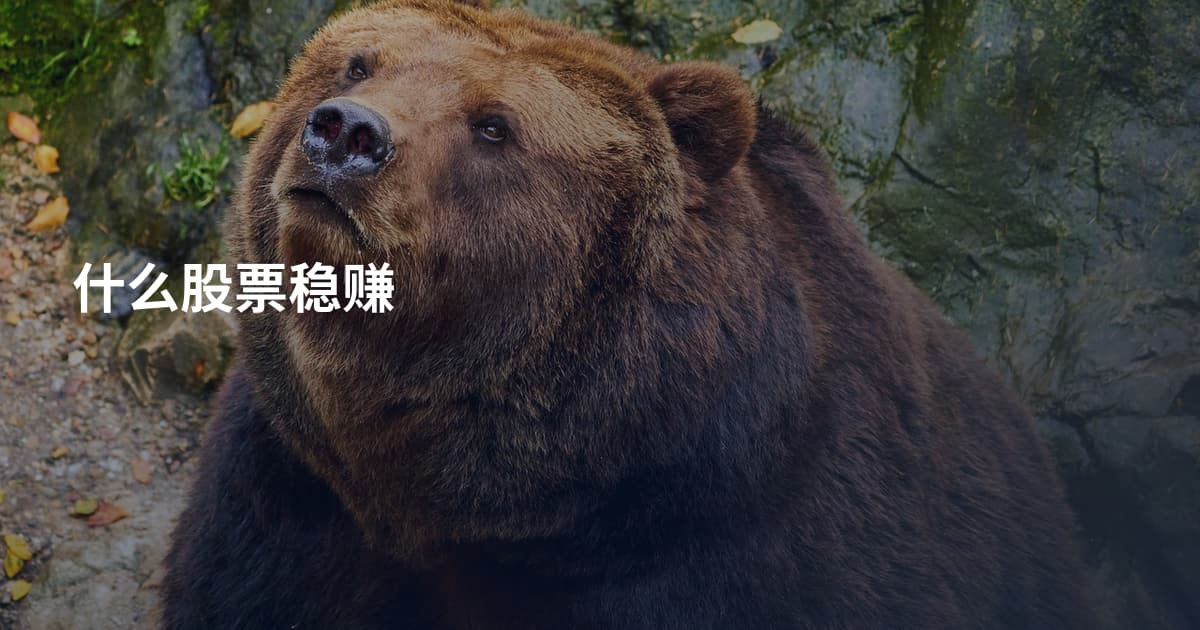 什么股票稳赚