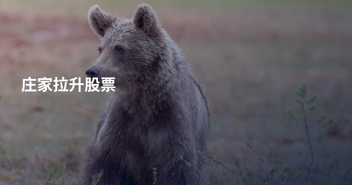 庄家拉升股票