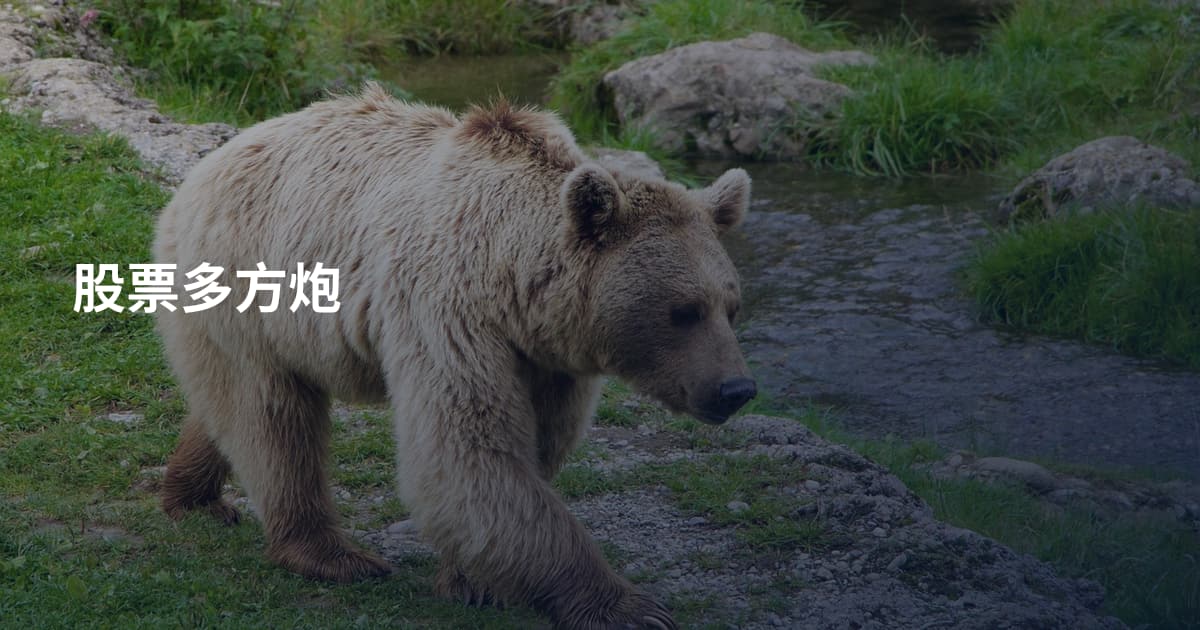 股票多方炮