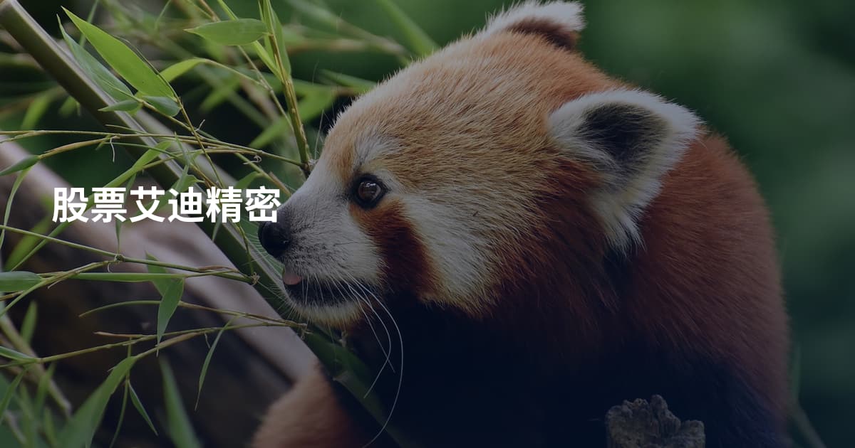 股票艾迪精密
