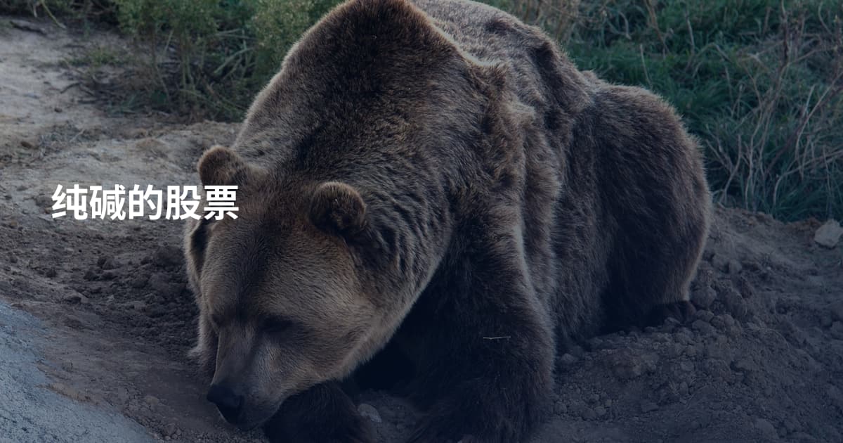纯碱的股票