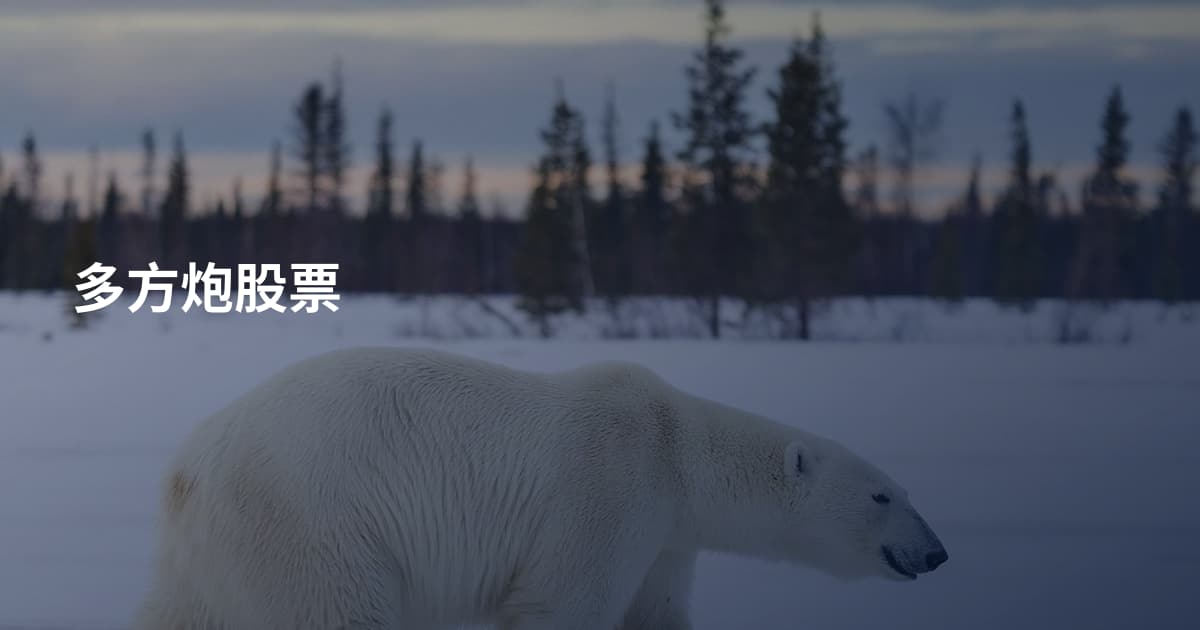多方炮股票