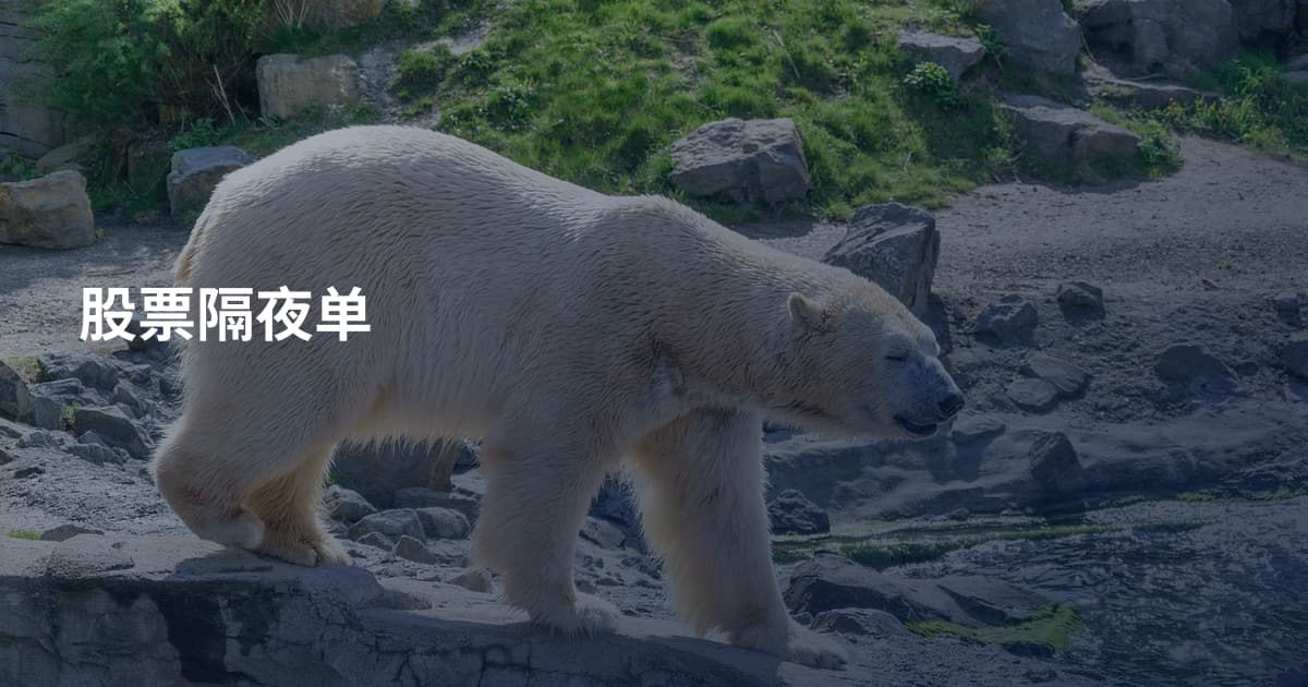 股票隔夜单