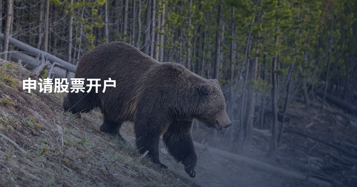 申请股票开户