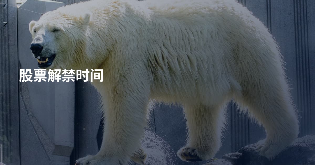 股票解禁时间