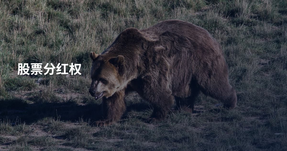 股票分红权
