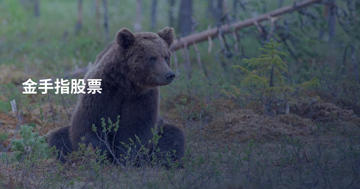 金手指股票