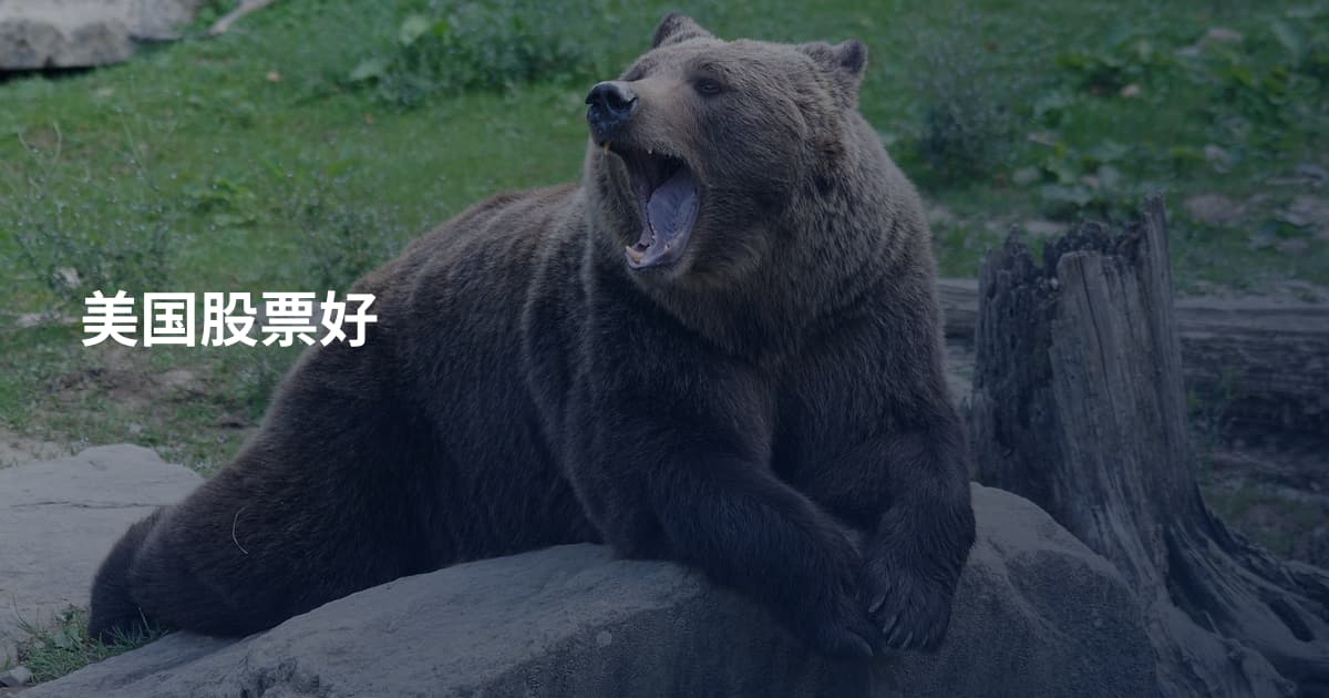 美国股票好