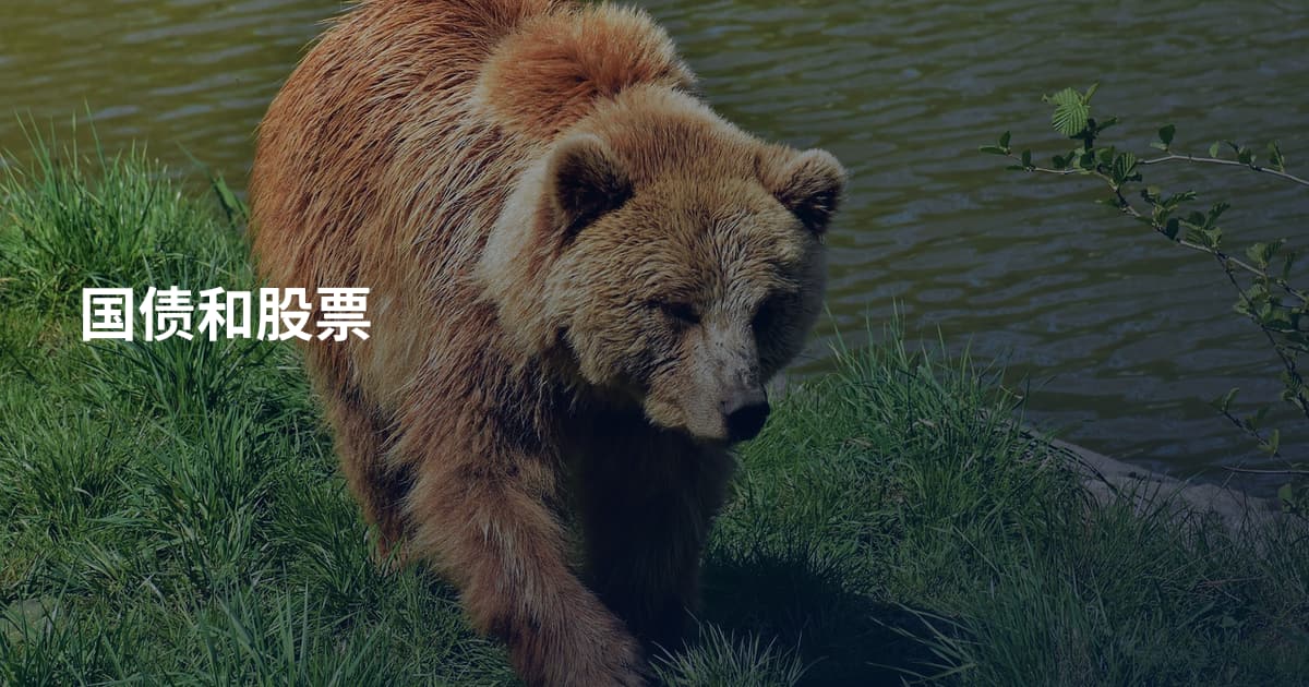 国债和股票