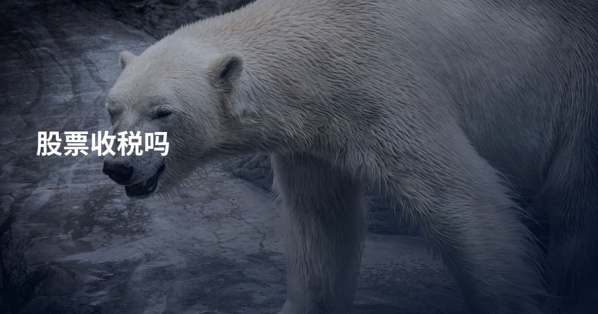 股票收税吗