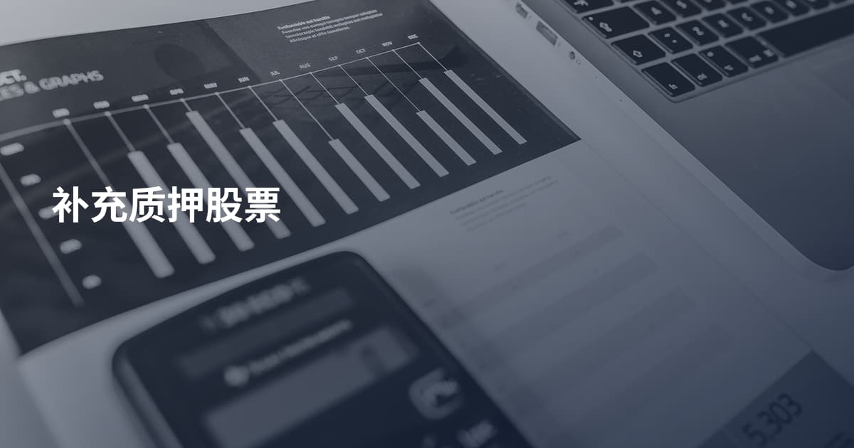 补充质押股票