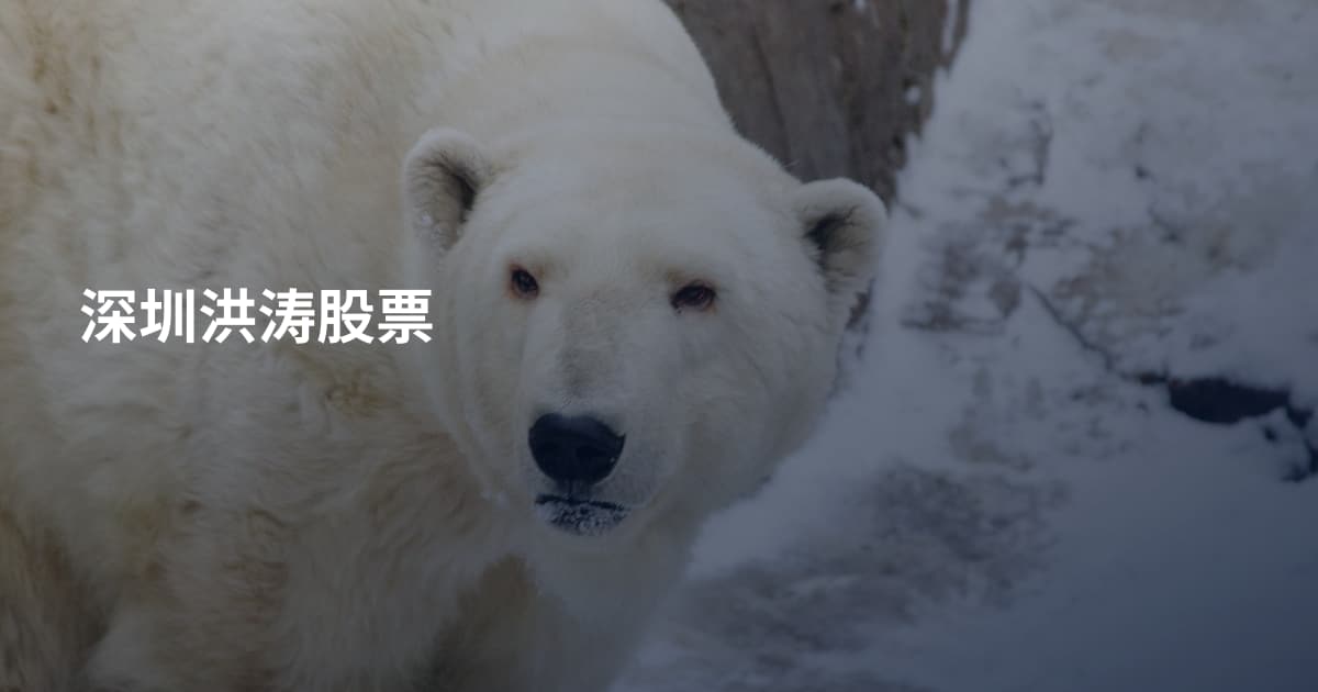 深圳洪涛股票