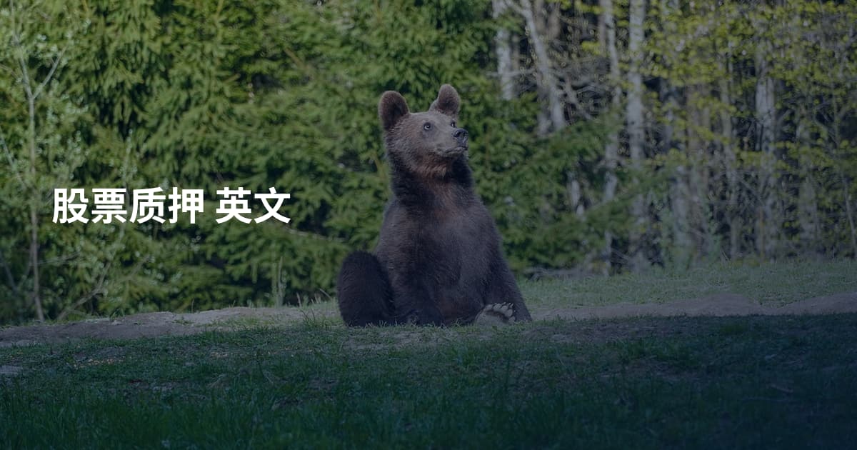 股票质押 英文