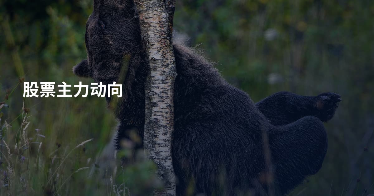 股票主力动向