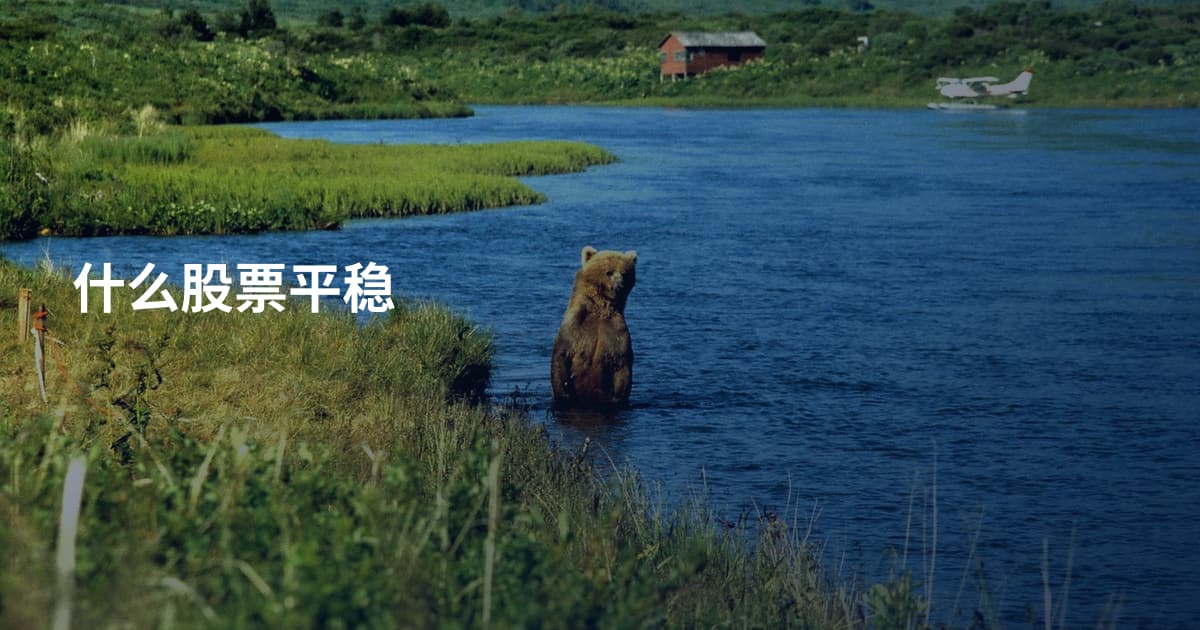 什么股票平稳