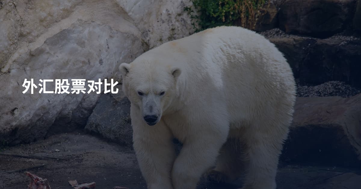 外汇股票对比