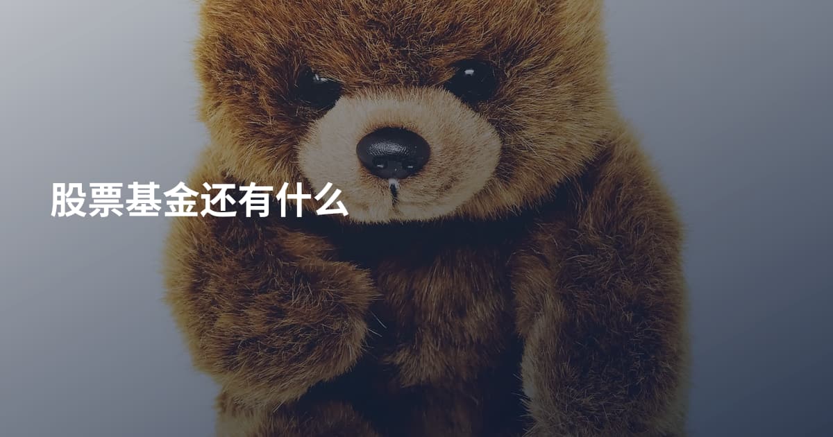 股票基金还有什么