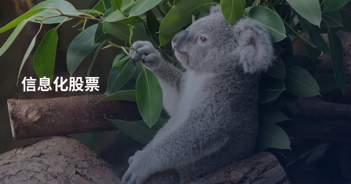 信息化股票