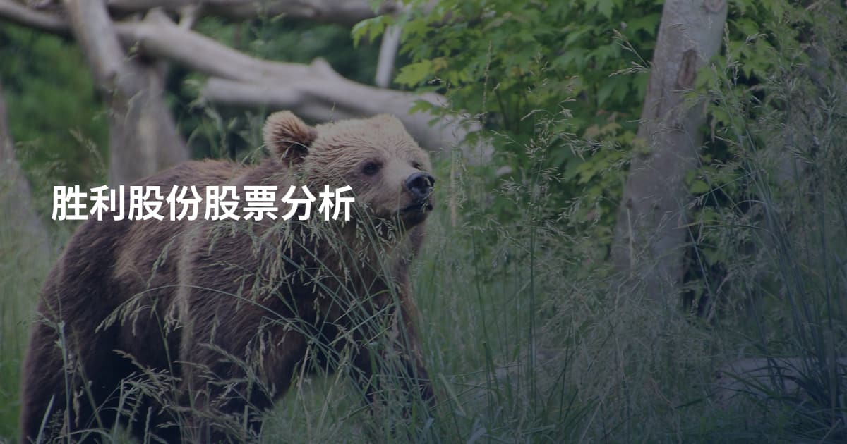 胜利股份股票分析